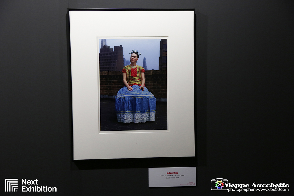 VBS_5391 - Mostra Frida Kahlo Throughn the lens of Nickolas Muray.jpg